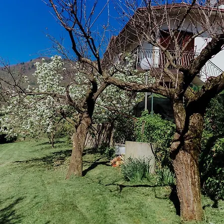 Apartment Casa Rita Tignale